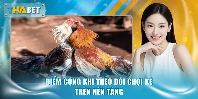 Điểm cộng khi theo dõi chọi kê trên nền tảng