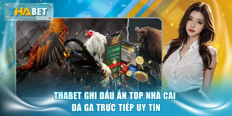 Thabet ghi dấu ấn top nhà cái đá gà trực tiếp uy tín