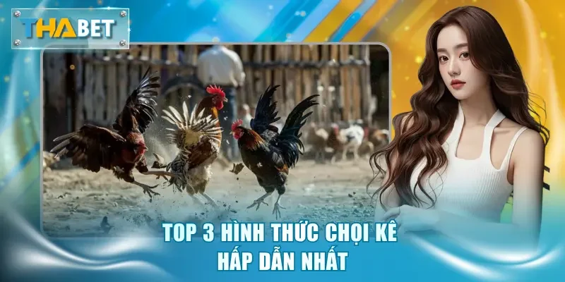 Top 3 hình thức chọi kê hấp dẫn nhất
