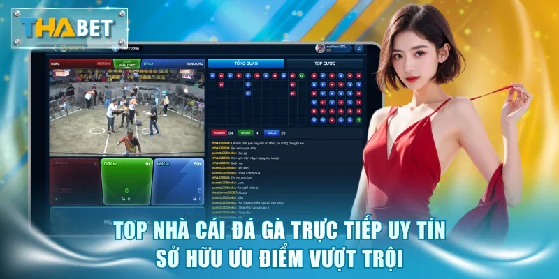 Top nhà cái đá gà trực tiếp uy tín sở hữu ưu điểm vượt trội